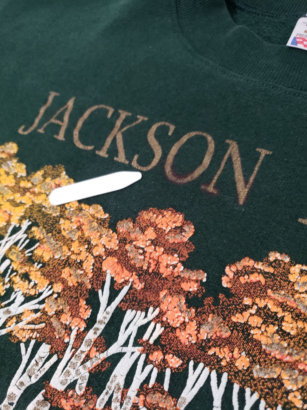Vintage 90s Jackson Hole Wyoming Fruit of the Loom Green Sweatshirt USA L - Picture 7 of 8